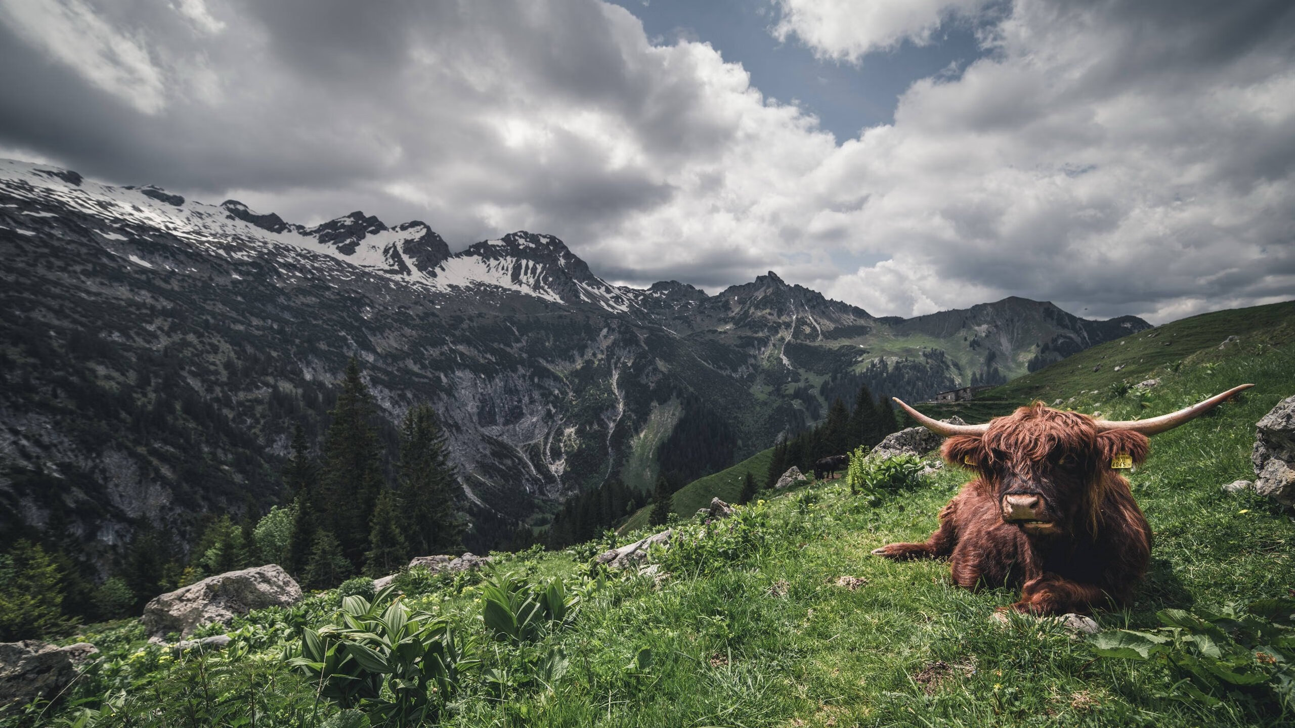 球员家庭生活：职业背后的人情人味，球员家长
