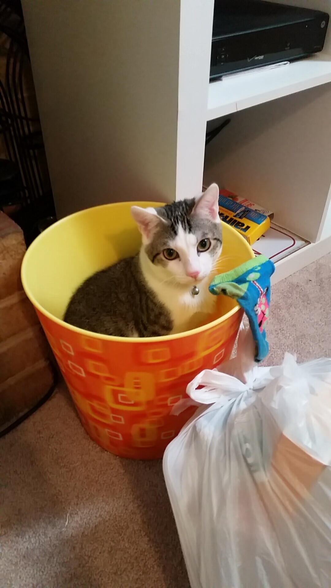 PSG主帅承认防守漏洞导致失利,psg主教练