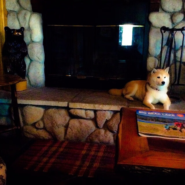 “2025世界运动会：金牛区城北体育馆舞蹈赛，舞者们在节奏中破茧成蝶”