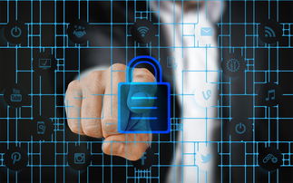 开云体育网页入口-体育特许经营管理制度构建与案例研究，体育行业特有职业培训试点单位