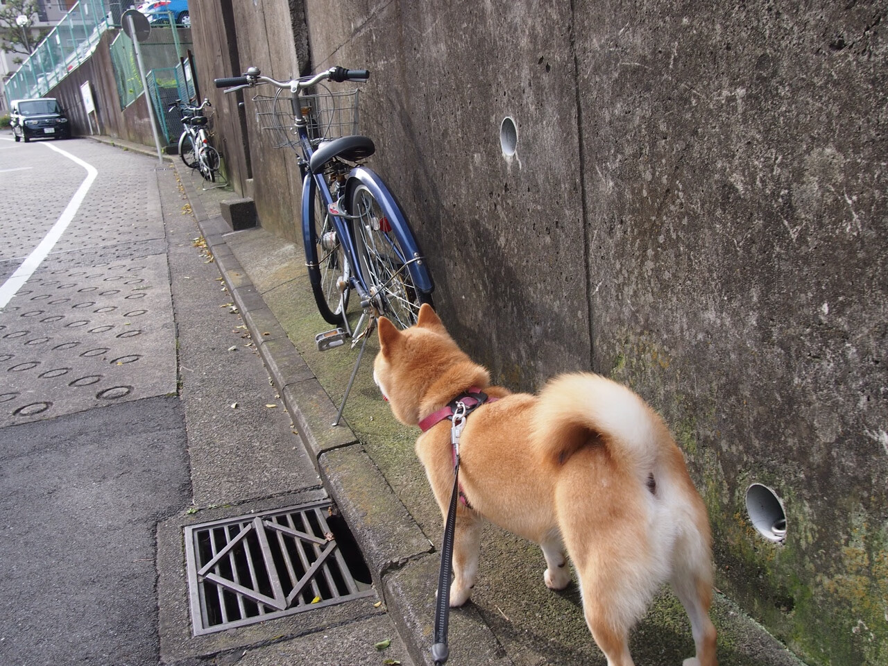 “台球：天府校区体育馆赛场一场关于技术与策略的较量”