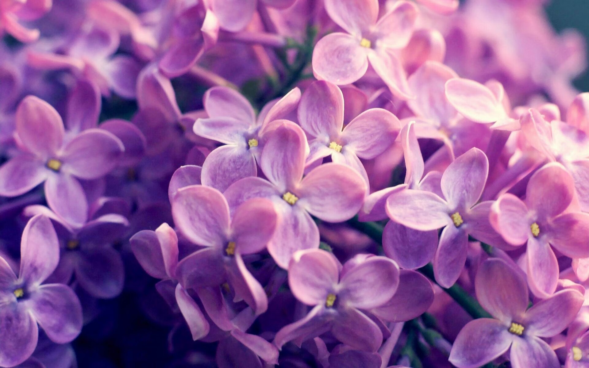 开云中国大陆-俱乐部缺乏青年球员激励机制，足球青年人俱乐部