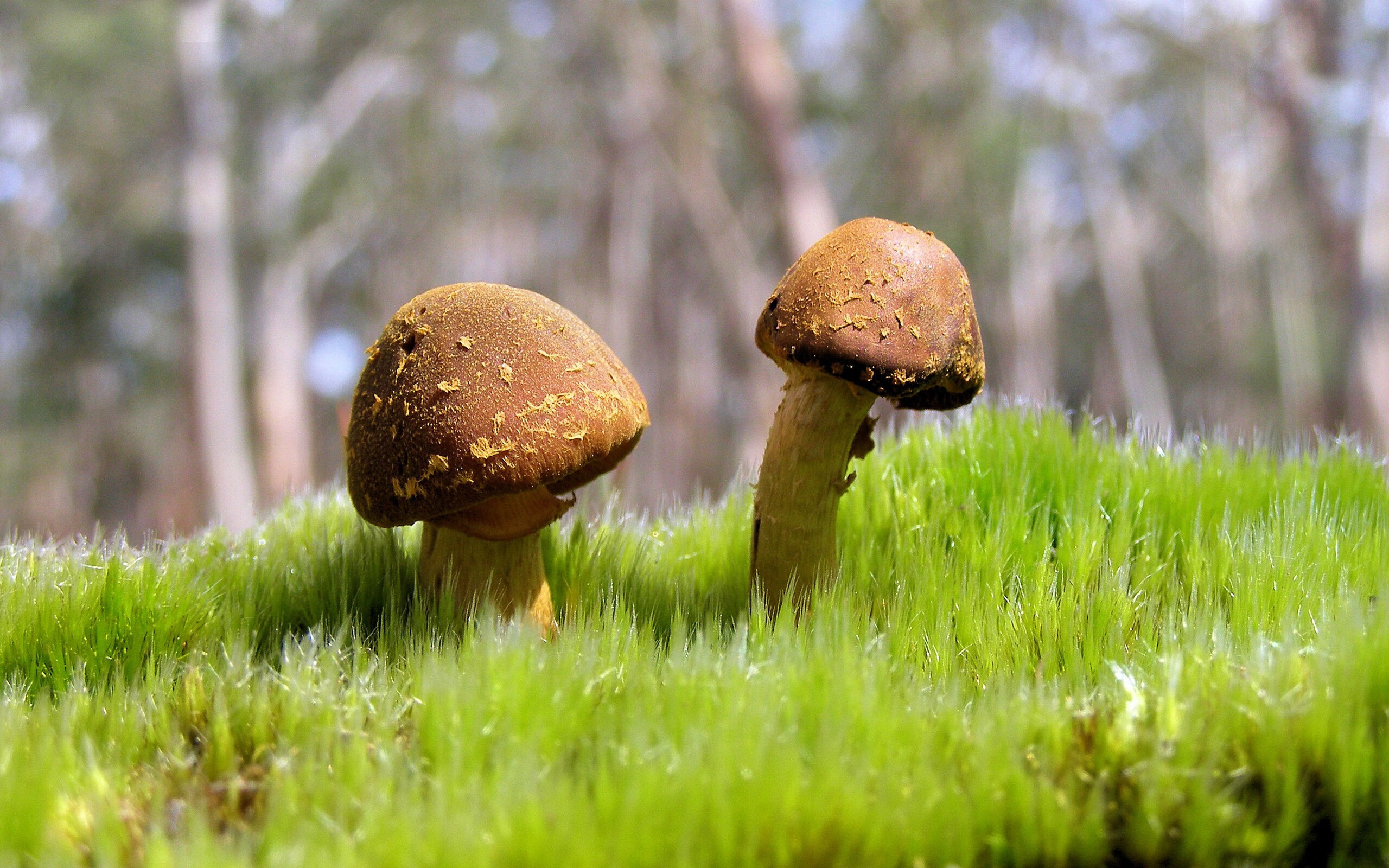 开云·Kaiyun网页版-节奏突变对球队情绪管理是否具备正面作用，节奏变化的基本方式