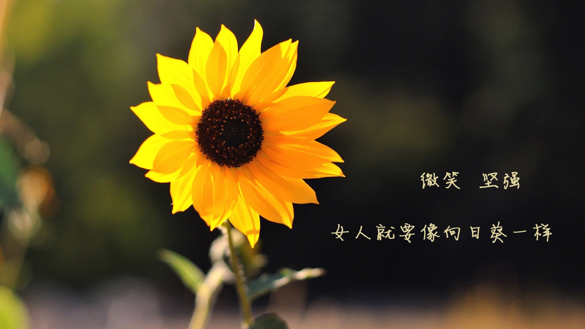 Kaiyun官方登录入口-训练营考核系统引入分级打分标准，训练营入营须知