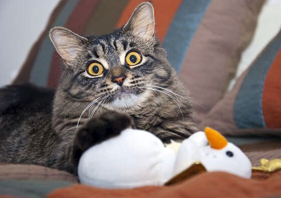 开云体育官方网站-世界杯精彩绝伦：每一秒都精彩无限！，世界杯精彩比赛